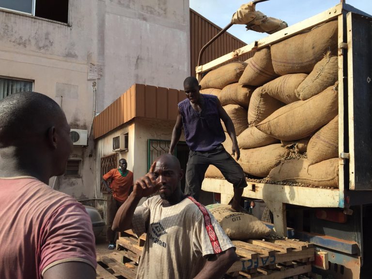 Sustainable Solutions The Advantages of Jute Bags for Cocoa Bean Storage